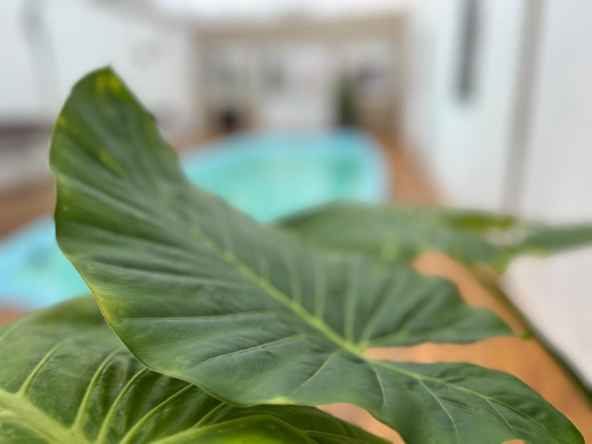 Hotel Gran Continente San Clemente del Tuyú エクステリア 写真