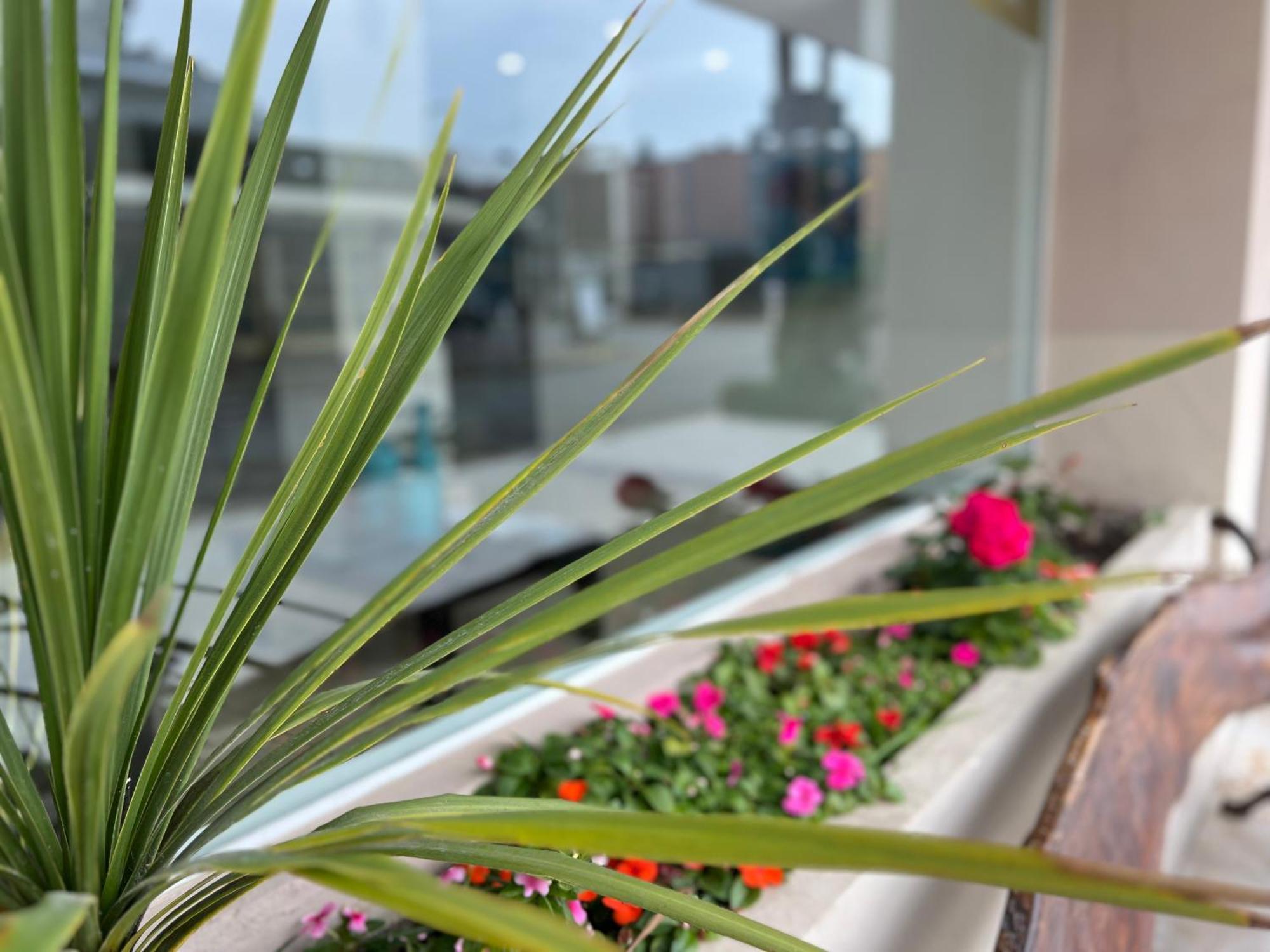 Hotel Gran Continente San Clemente del Tuyú エクステリア 写真